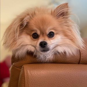 Meet your Posher, Ericka